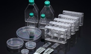 醫療注塑模具的成型受什么影響？